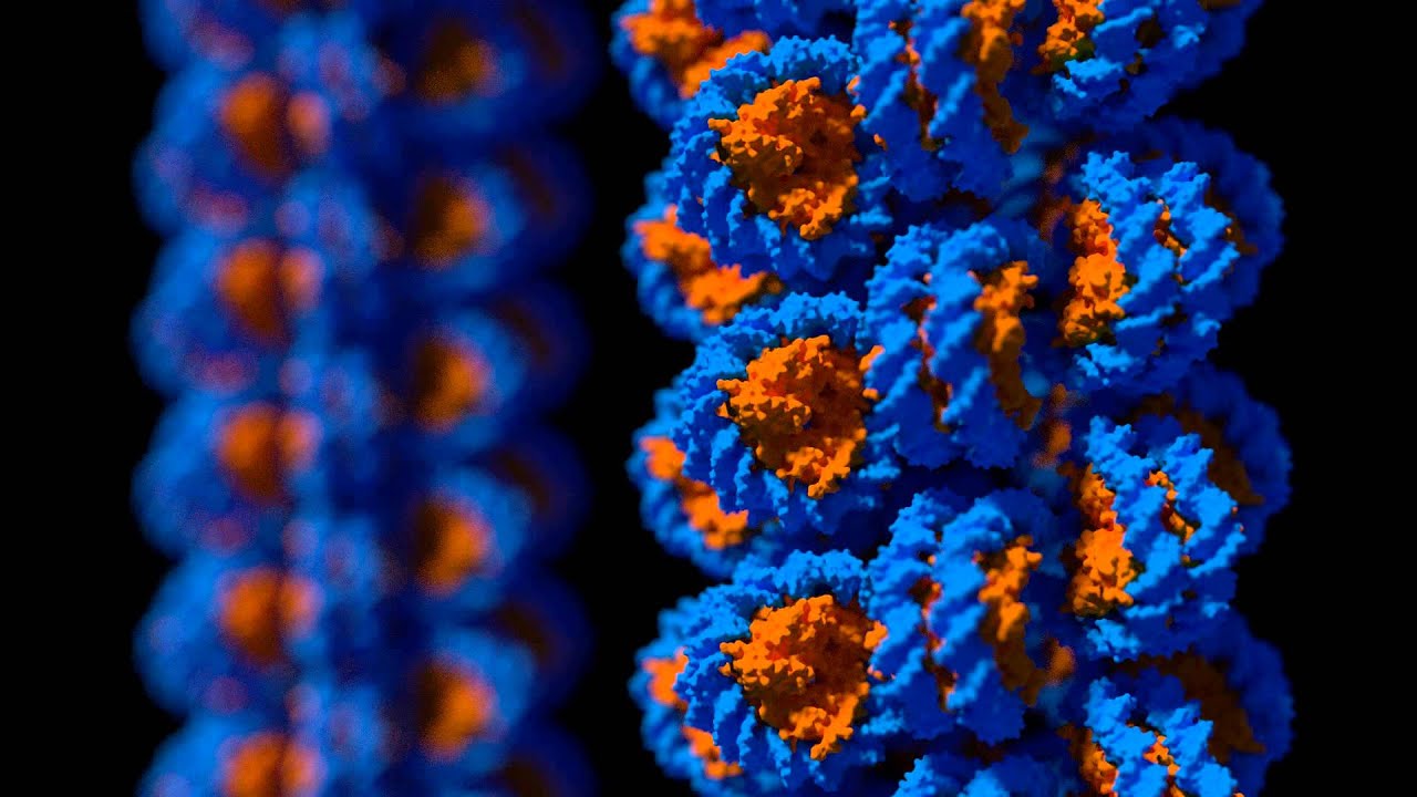 Nucleosome Test 1