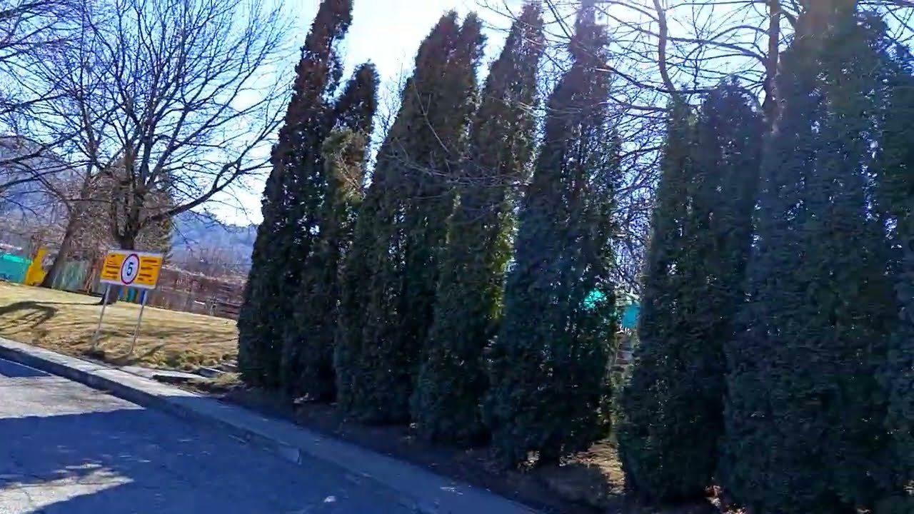 14 марта 2026 г.Гуляем по санаторию #Джинал # и рассказываем страшные истории \ Установки на мир нет