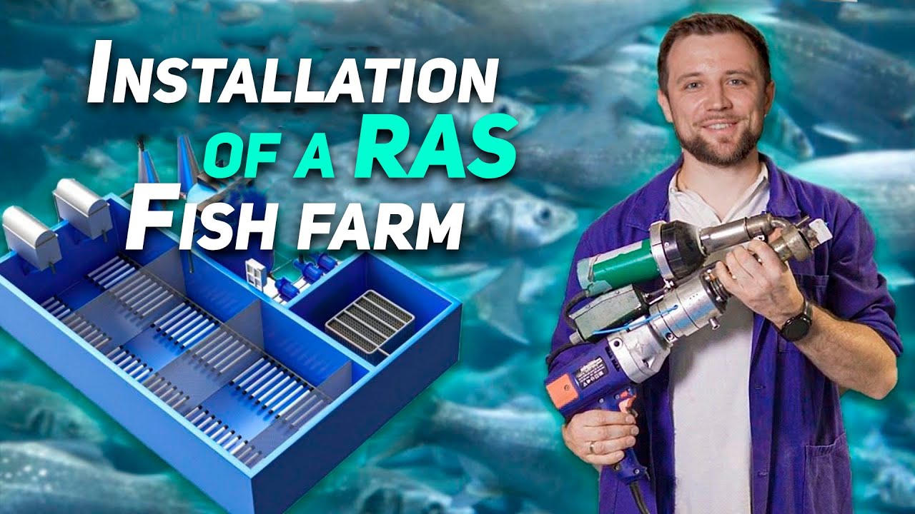 Installation of a RAS FISH FARM | What EQUIPMENT is needed for the productive operation of a RAS?
