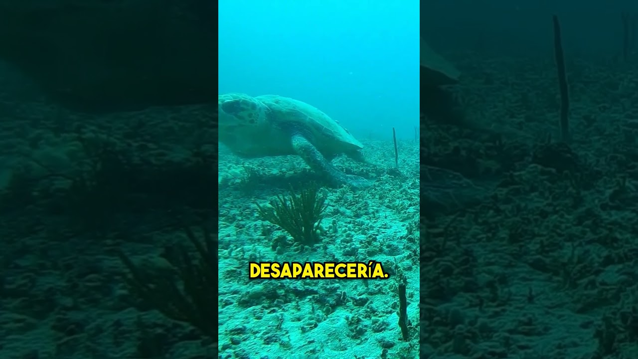 &iquest;Qu&eacute; pasar&iacute;a si el Golfo de M&eacute;xico se secara de repente?