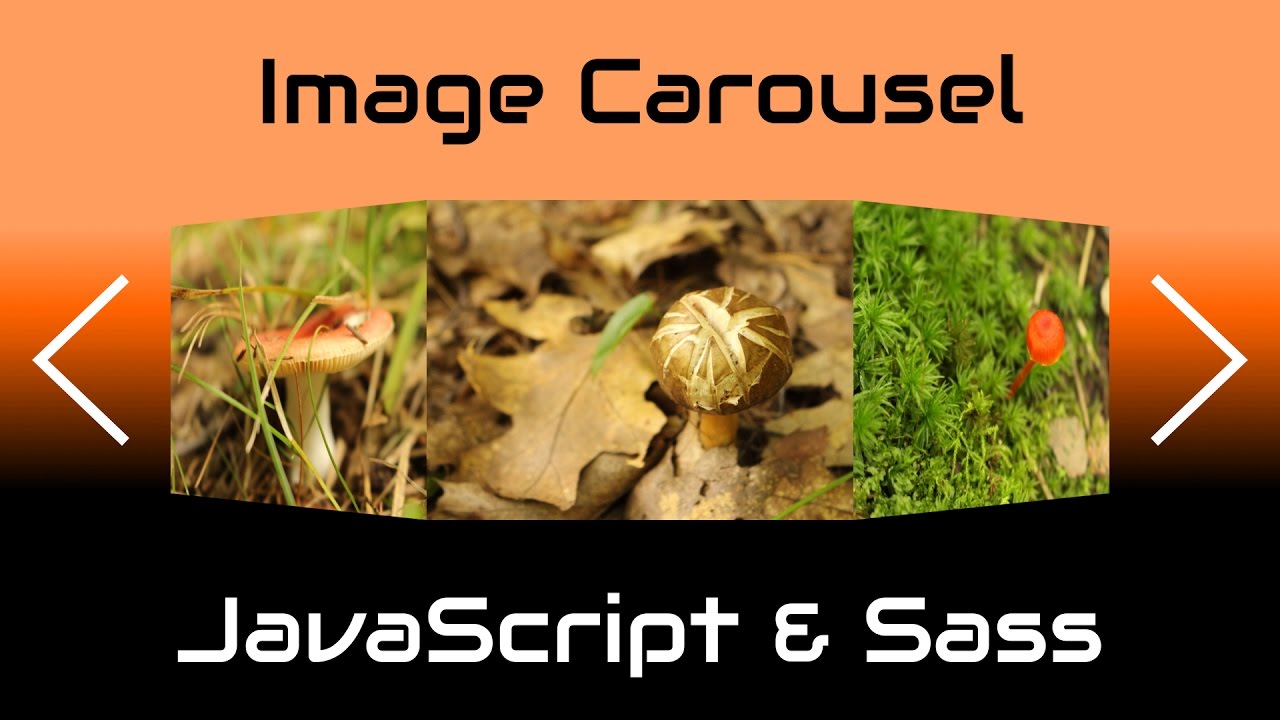 Simple IMAGE CAROUSEL/SLIDER in JavaScript & Sass