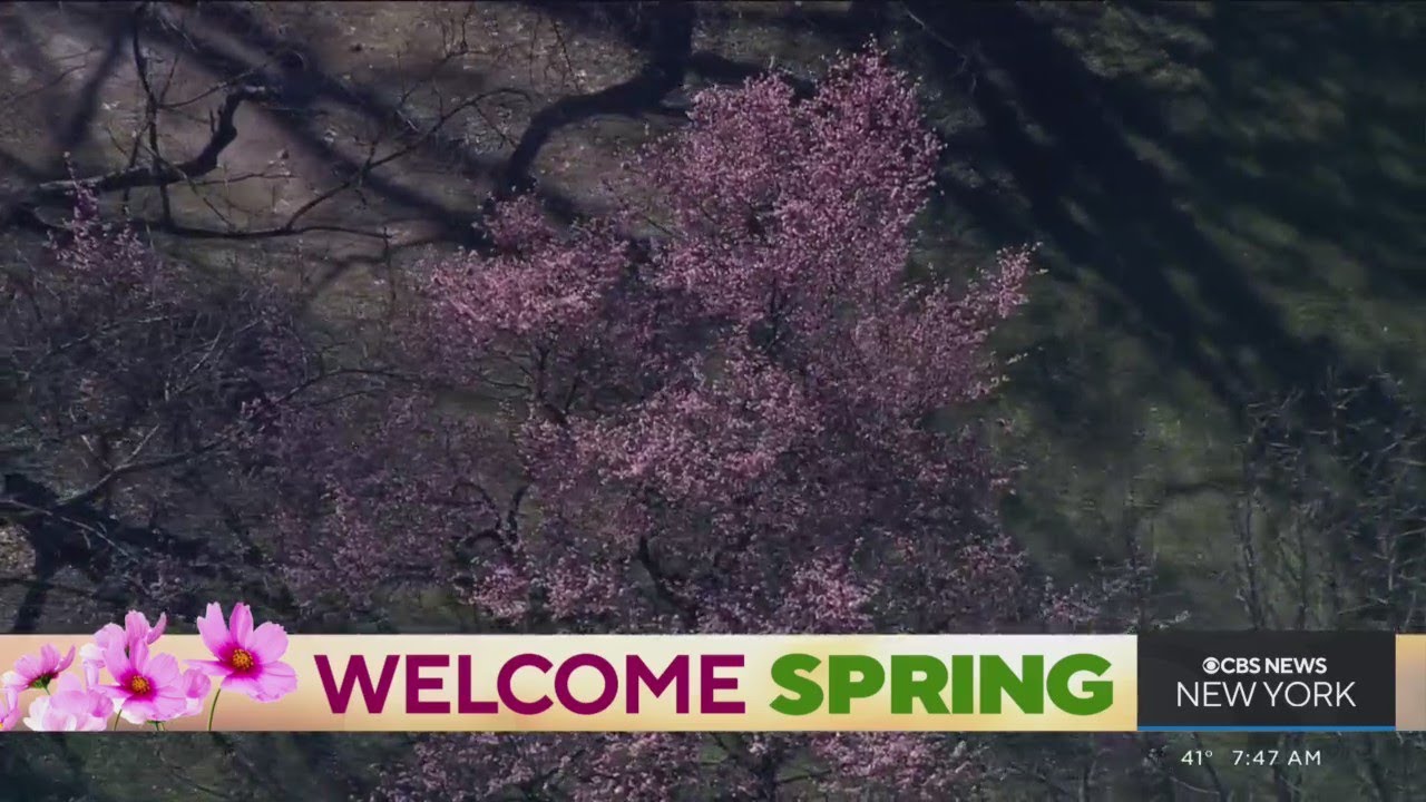 Signs of spring at Brooklyn Botanic Garden