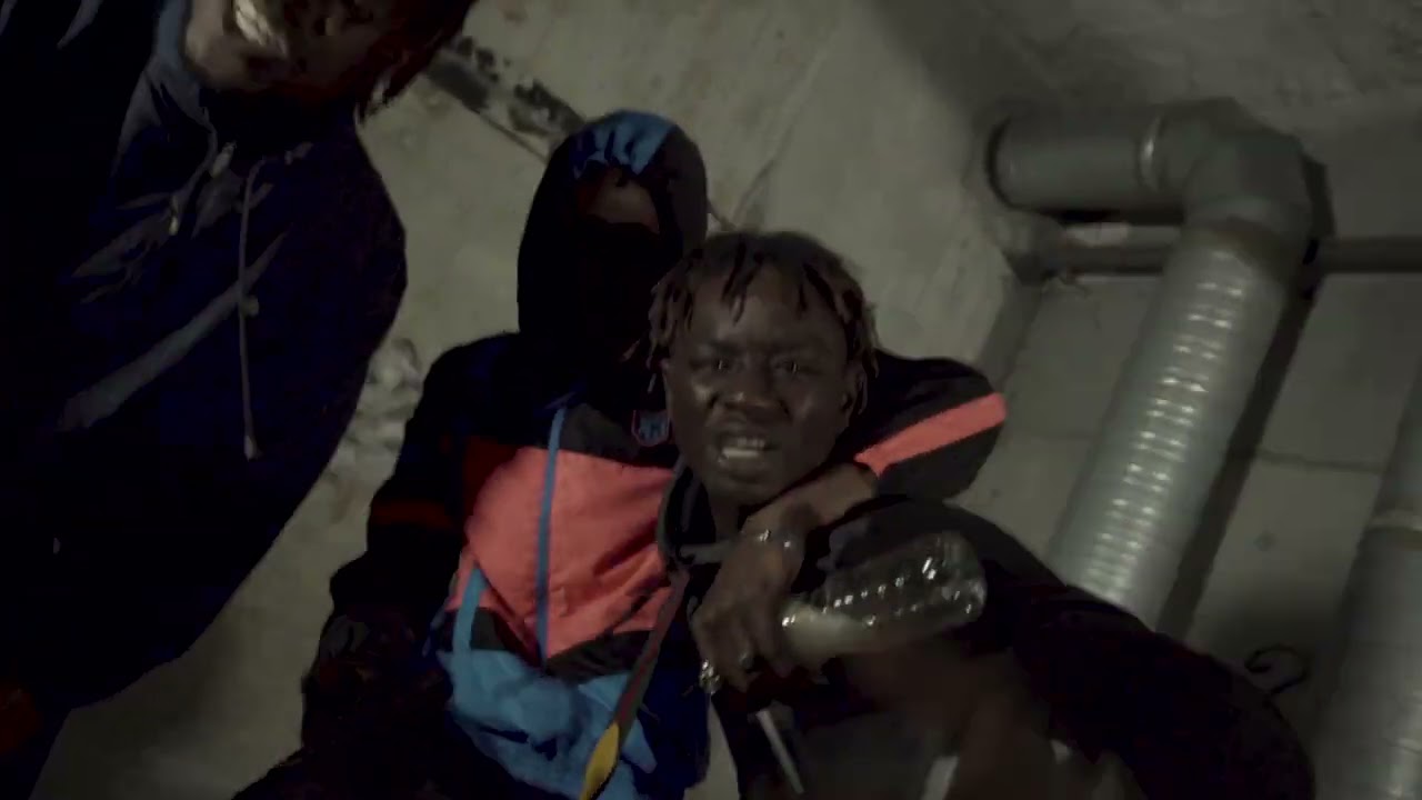 3touchkars Jungle