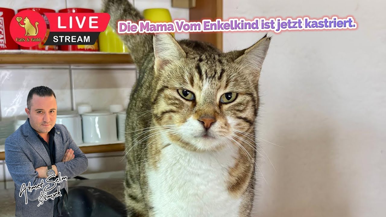 Die Mama Vom Enkelkind ist jetzt kastriert.