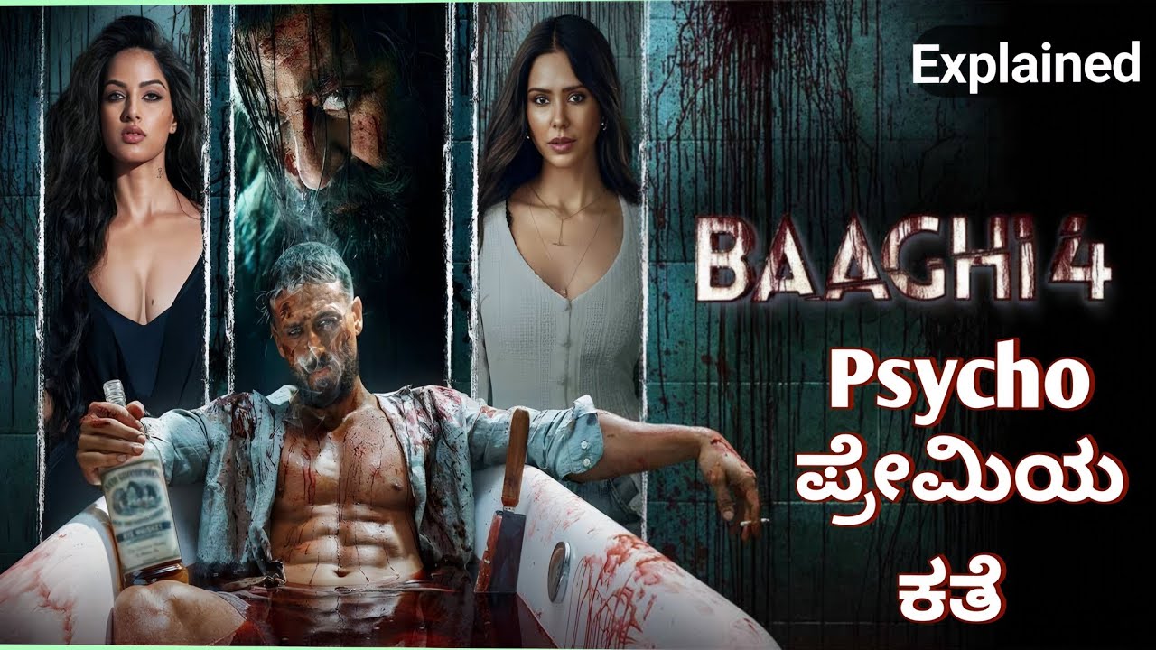 Baaghi 4 movie explained in kannada 