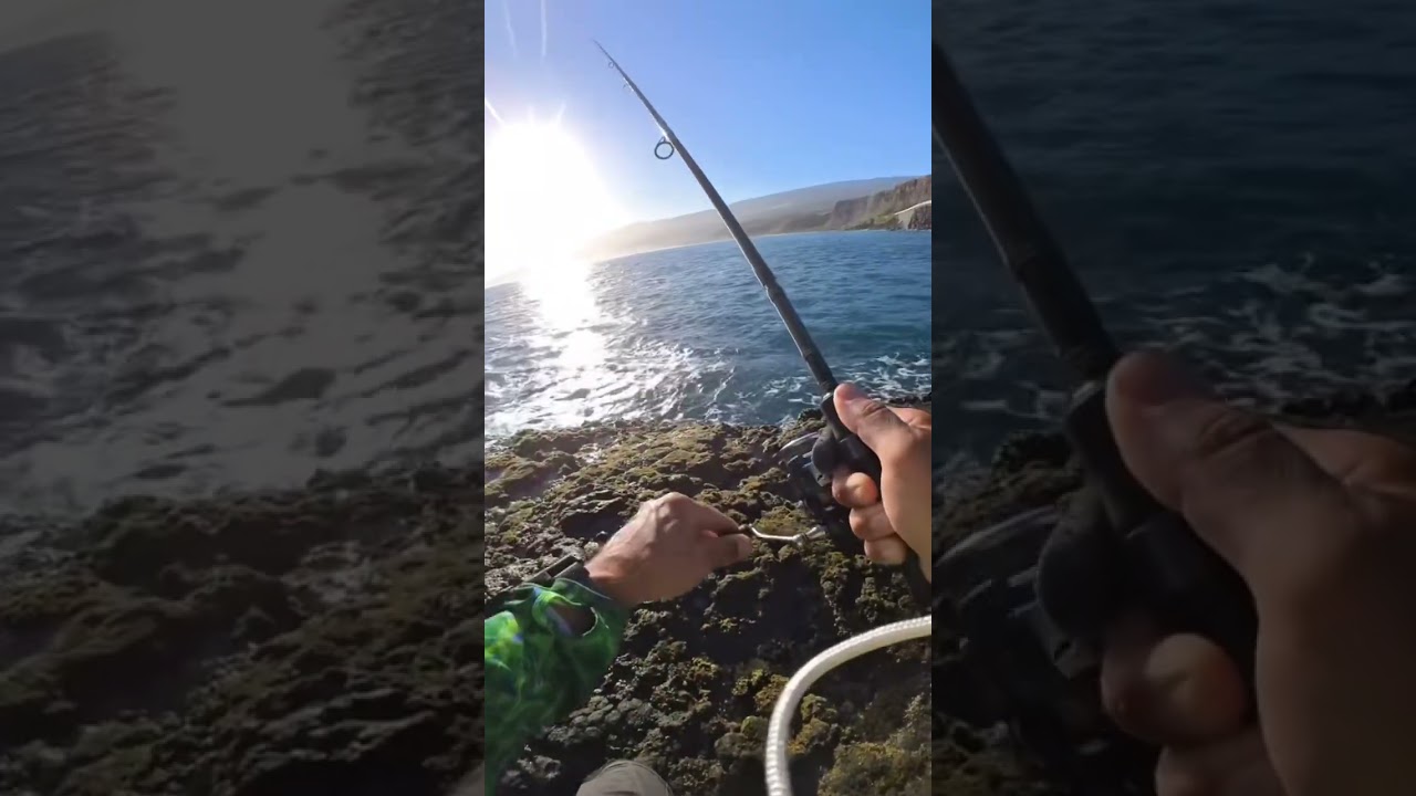 Le Tuto parfait P&ecirc;che du bord de mer. Attrape tout #fishing #pesca  #fish