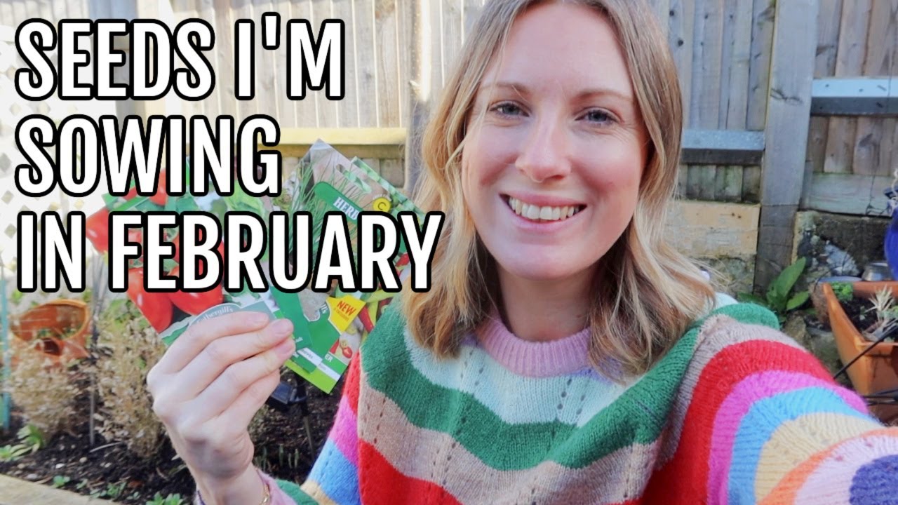 SEEDS I'M SOWING IN FEBRUARY 2024 / ALLOTMENT GARDENING FOR BEGINNERS