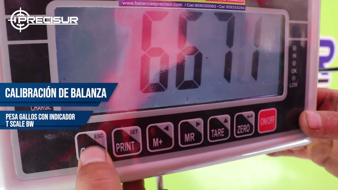 Ajuste y Calibración de Balanza Pesa Gallos T-Scale BW