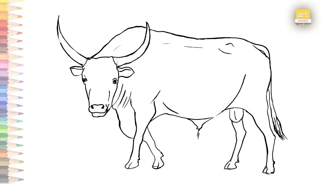 Fighting Bull drawing easy | How to draw A Bull step by step
