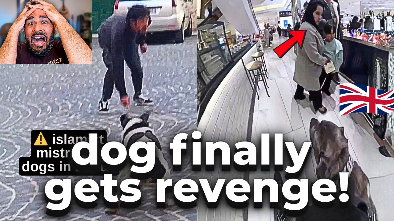 Muslims Picked a Fight With The WRONG Dog In The UK!!!