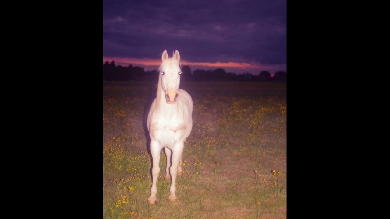 [free] YEAT x TRAVIS SCOTT x KANYE WEST x A DANGEROUS LYFE type beat "forever"