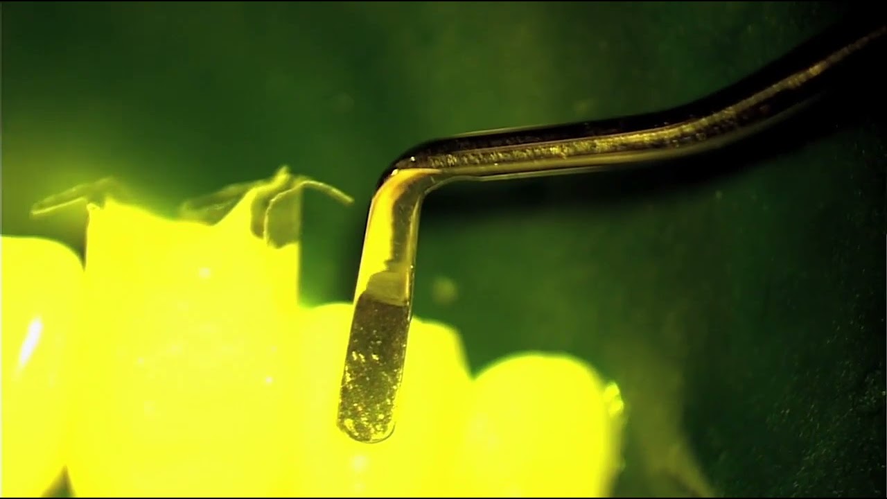 Bioclear&trade; Injection Moulding Process video
