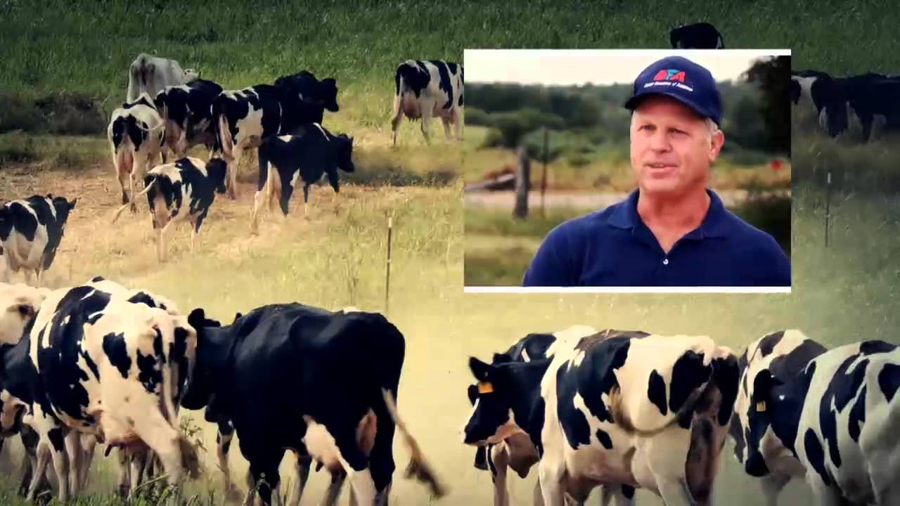 Meet the Dairy Farm Families of Alabama