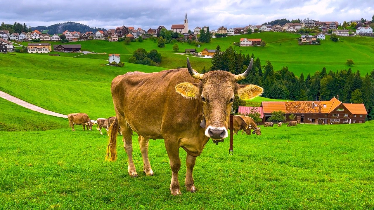 Прогулка по традиционному швейцарскому городу Аппенцелль 🇨🇭 Швейцария 4K