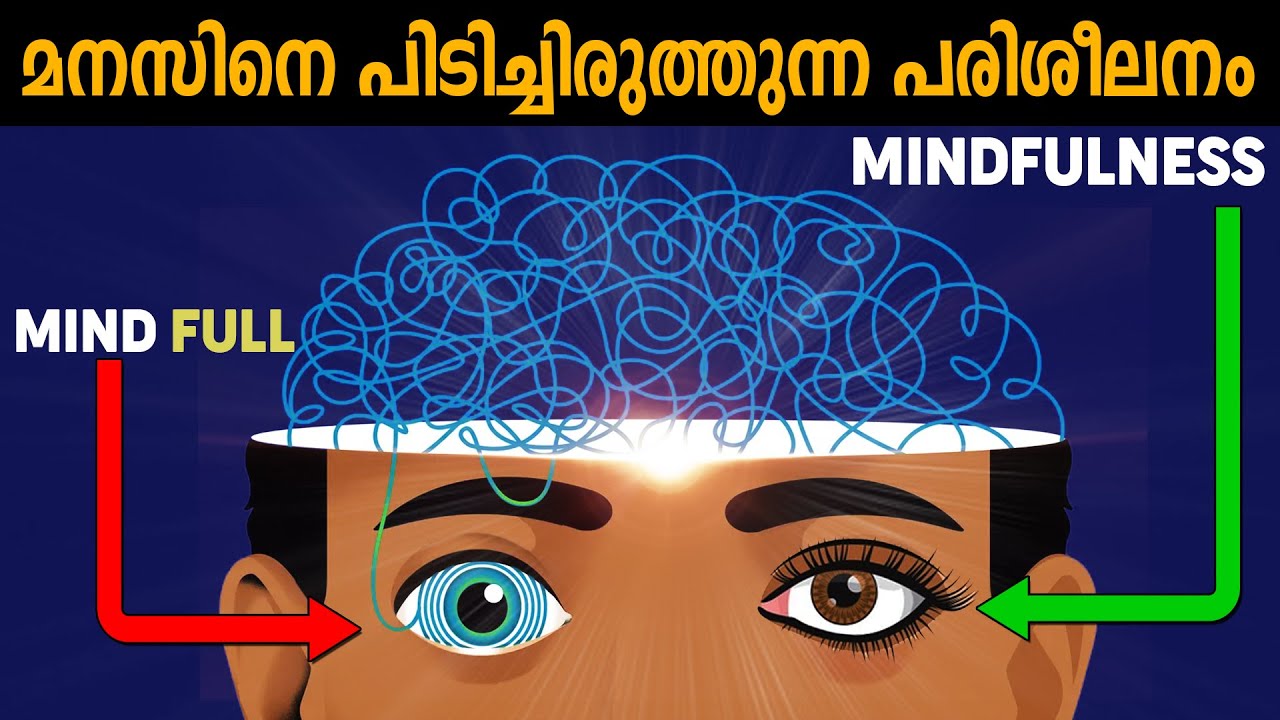അലയുന്ന മനസ്സിന് കടിഞ്ഞാൺ ഇടാൻ പഠിക്കൂ Mindfulness practices - LIFE CHANGING IDEAS & AFFIRMATIONS