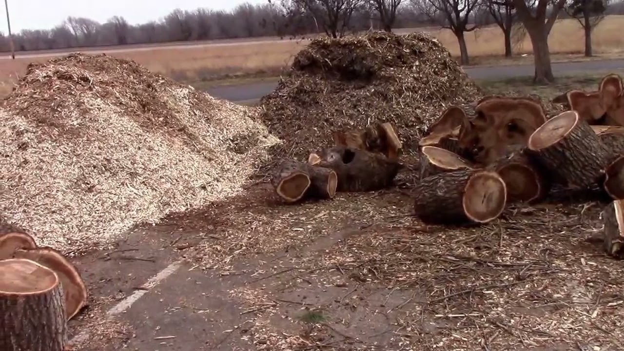 A Little About Gardening With Wood Chips