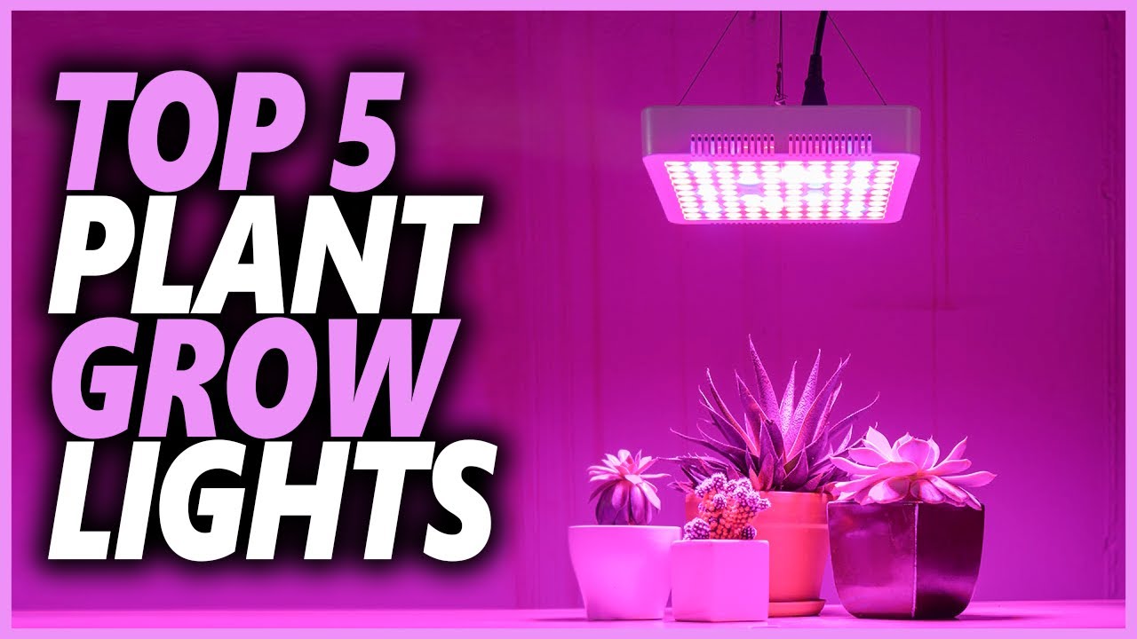 Best Plant Grow Light In 2022 | Top 5 Best Grow Lights For Plants