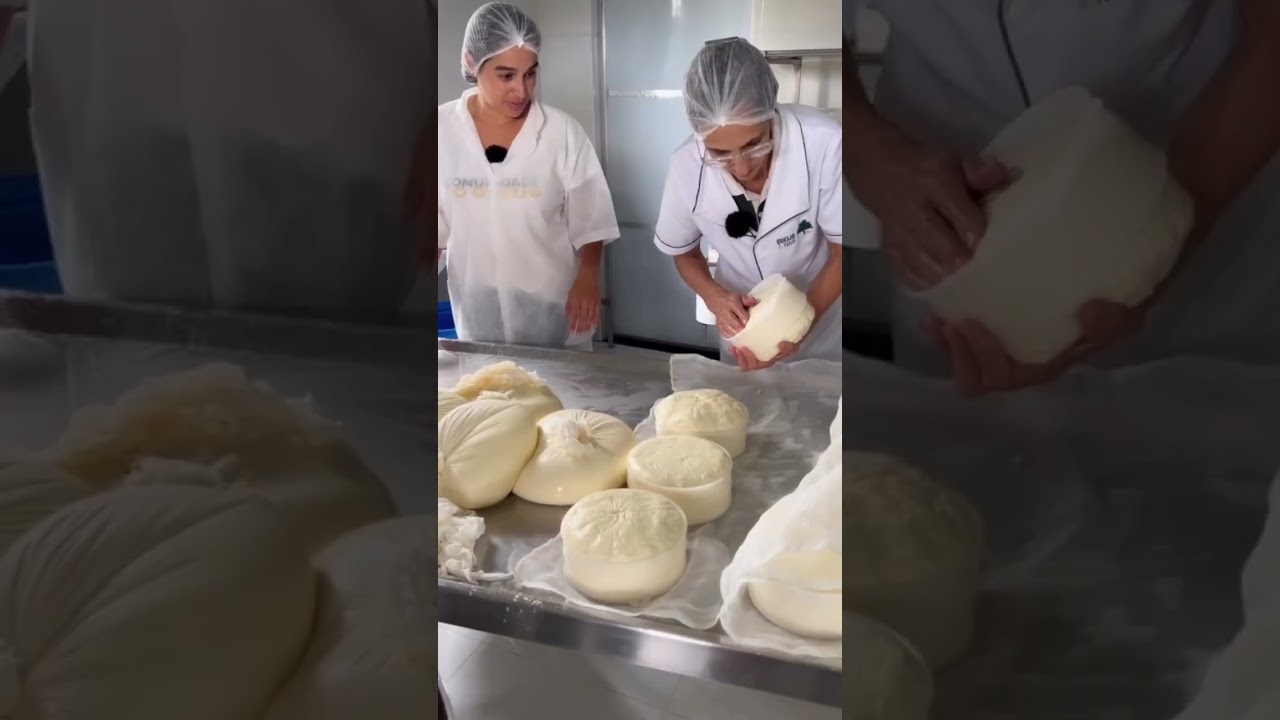 Cuidados essenciais na DESSORAGEM do queijo!