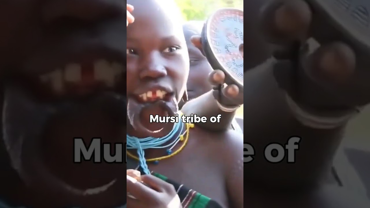 Crazy Lip Plates🫣  