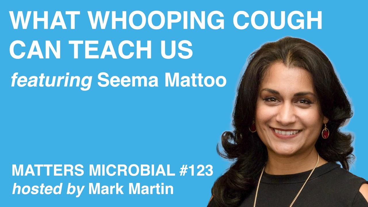 Matters Microbial #123: What Whooping Cough Can Teach US
