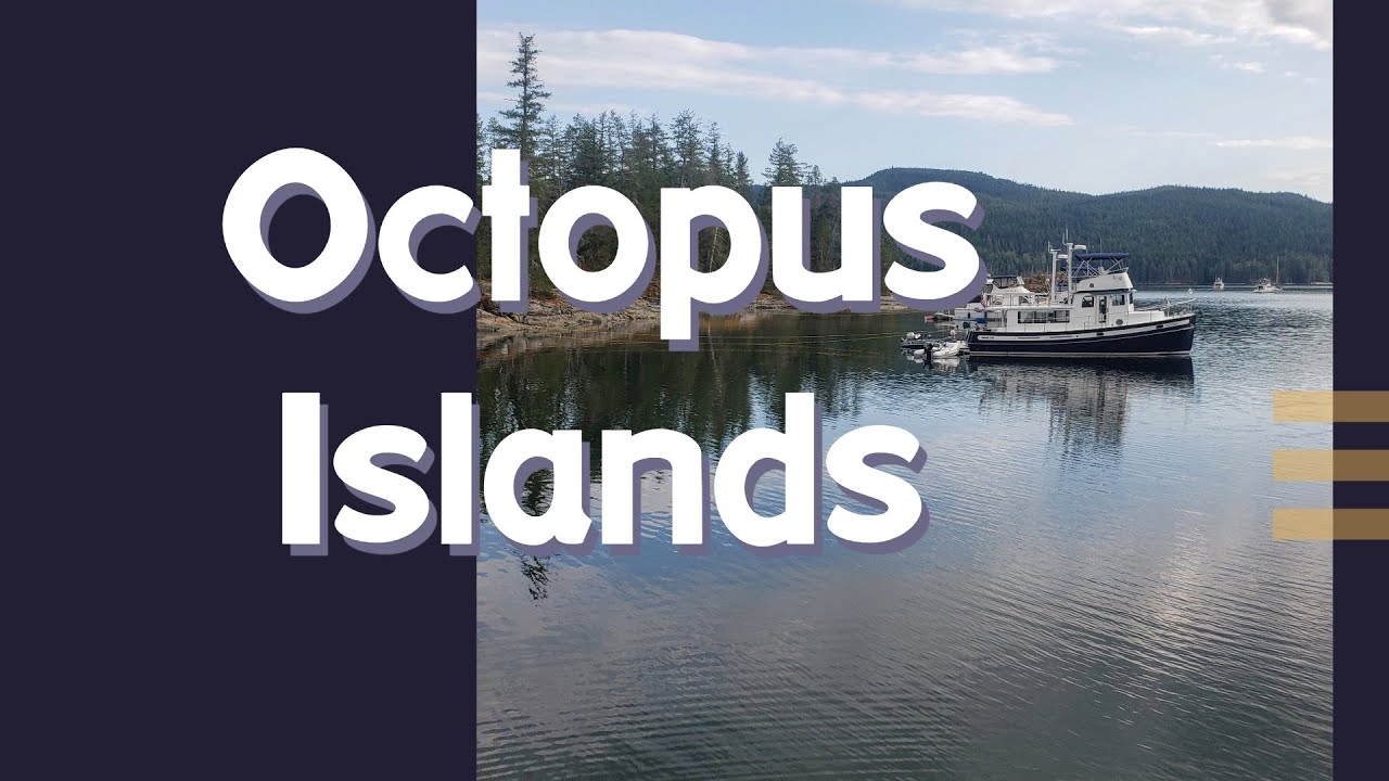 Anchoring at Octopus Islands