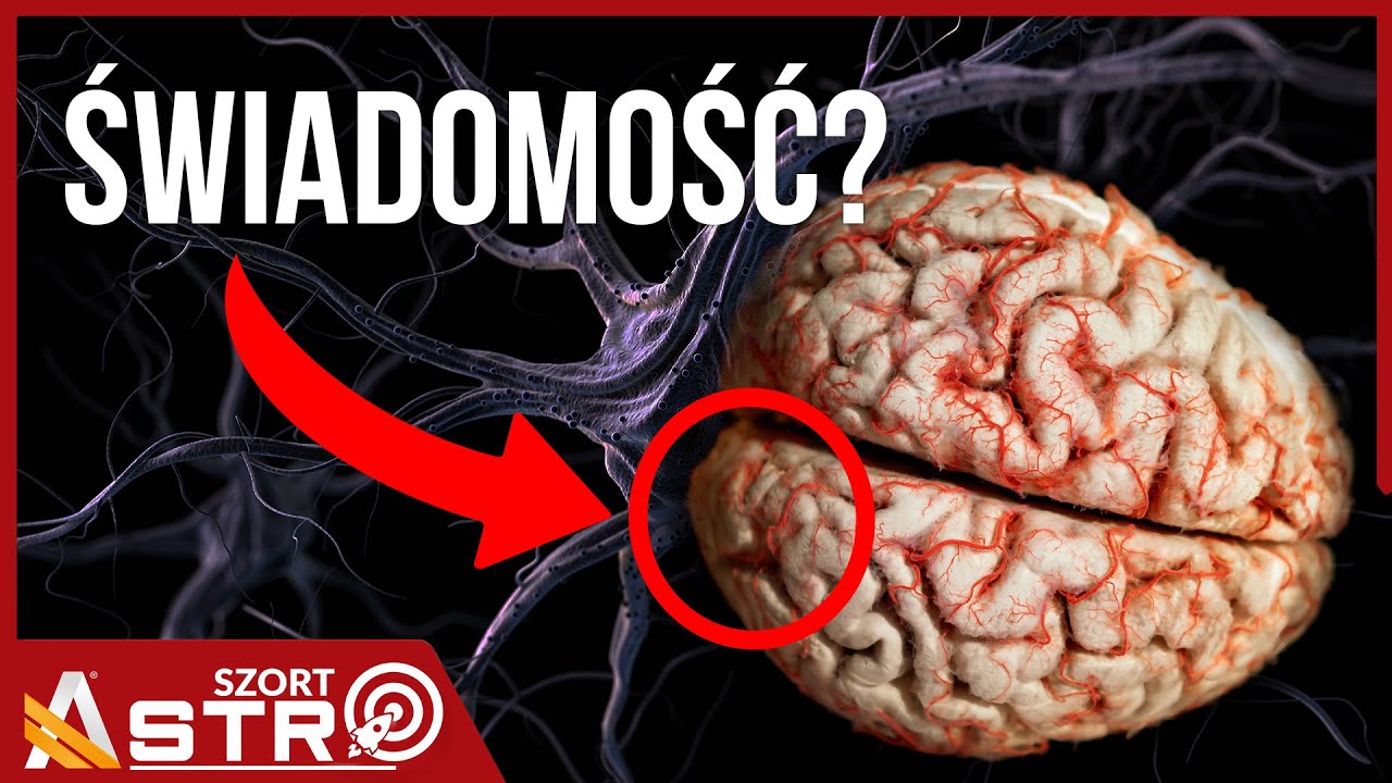 Natrafiono na ślad świadomości w m&oacute;zgu? Nowe ustalenia - AstroSzort