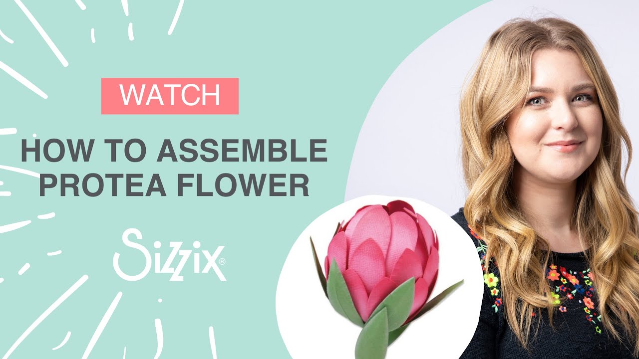 Sizzix: How to Assemble the Protea Flower Craft Die Set! By Designer Jess.