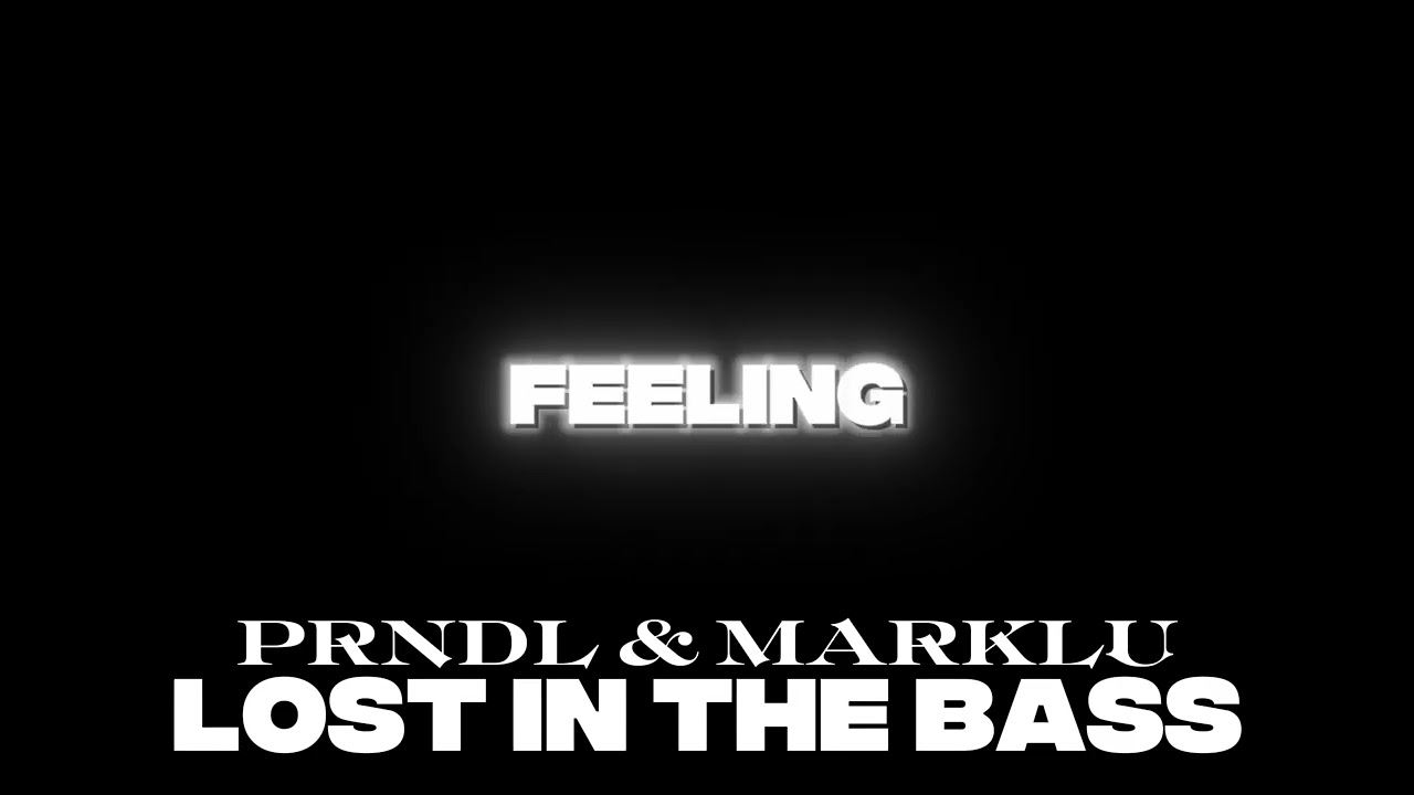 PRNDL & MARKLU - LOST IN THE BASS