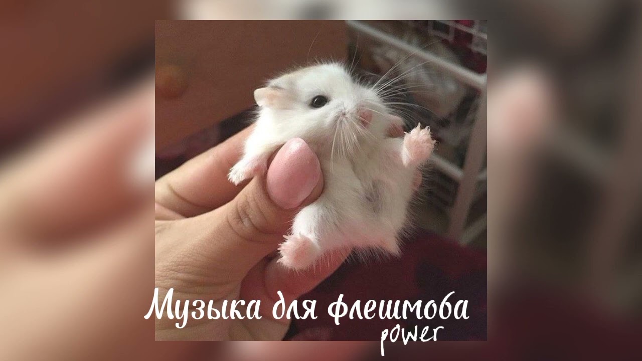 Музыка для флешмоба ✨🌼
