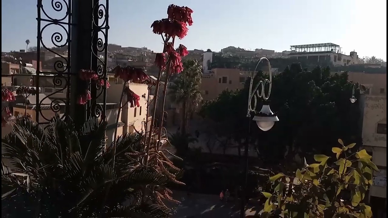 فطور الصباح من المقهى بني يحيى أثرية في مدينة فاس 🕌