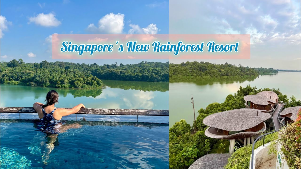 Mandai Rainforest Resort by Banyan Tree Singapore|Room Tour, Infinity Pool & Staycation Experience