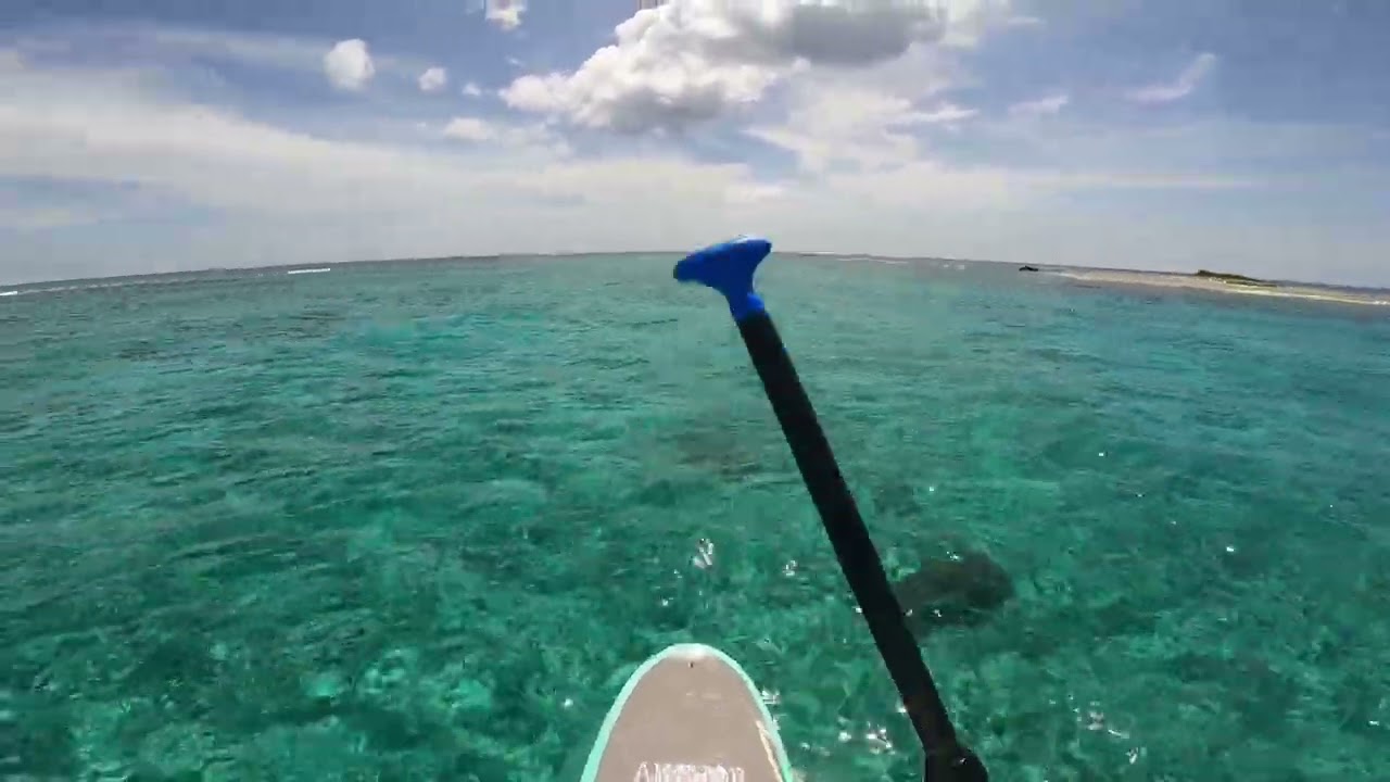 Paddleboarding in the Cayman Islands - POV 🌊 