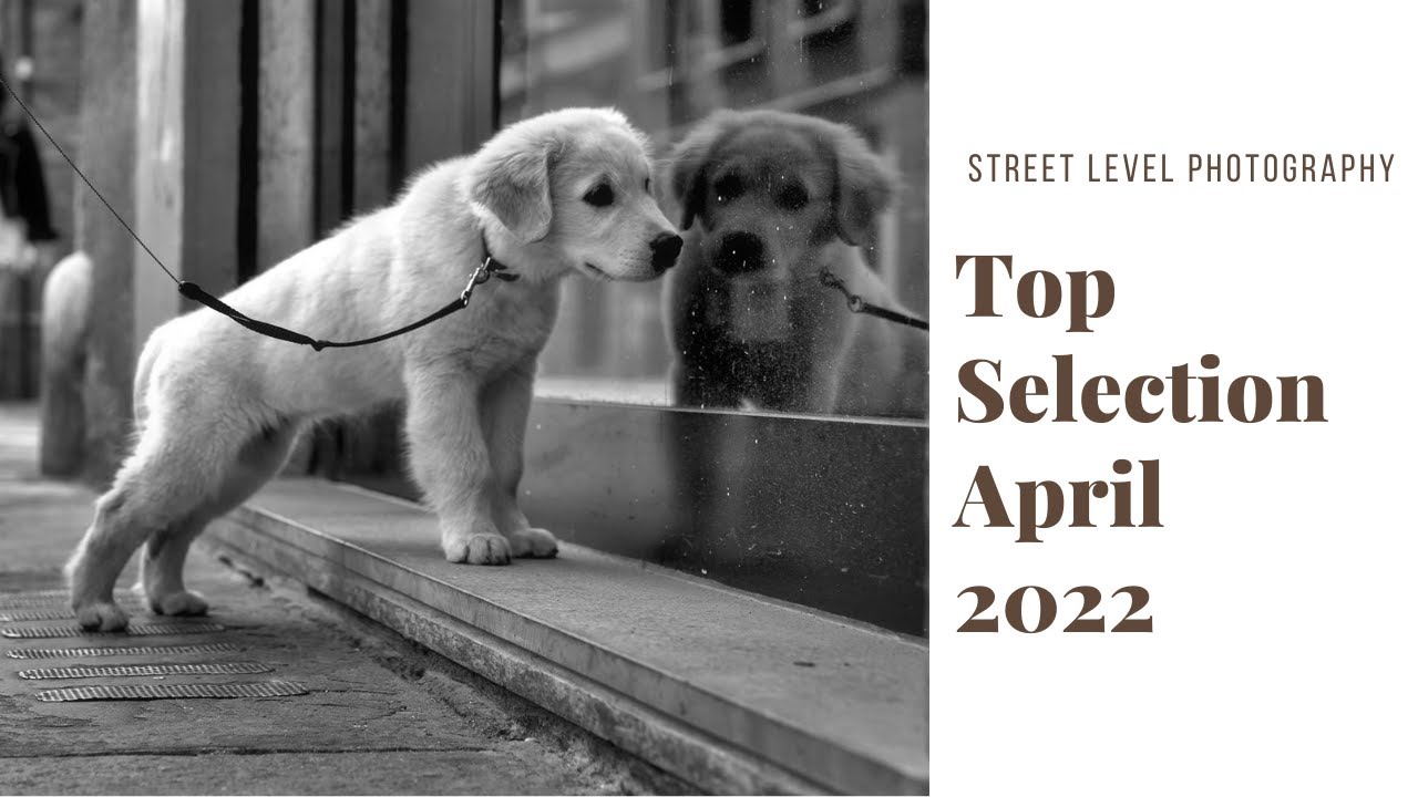 STREET PHOTOGRAPHY: TOP SELECTION - APRIL 2022 -