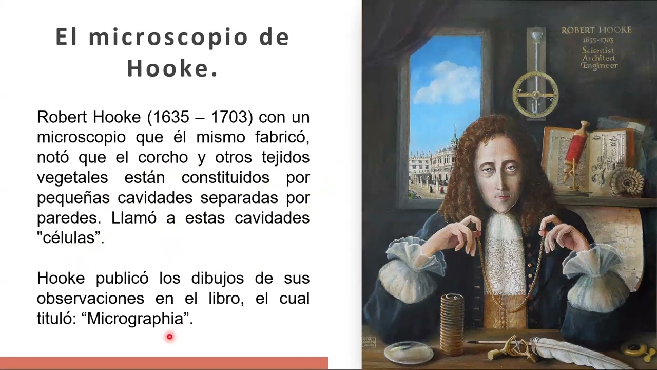 MICROSCOPÍA APLICADA AL SEDIMENTO URINARIO