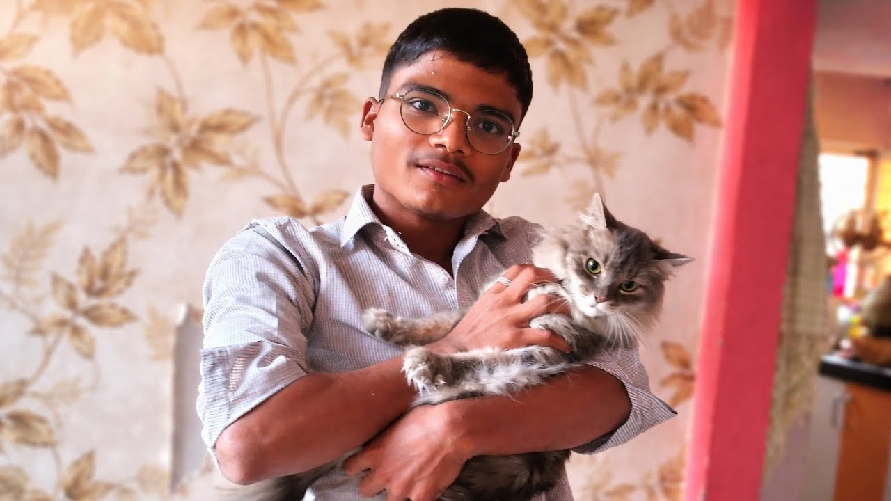 50 Day's Pure Hue🎊🎊🎉