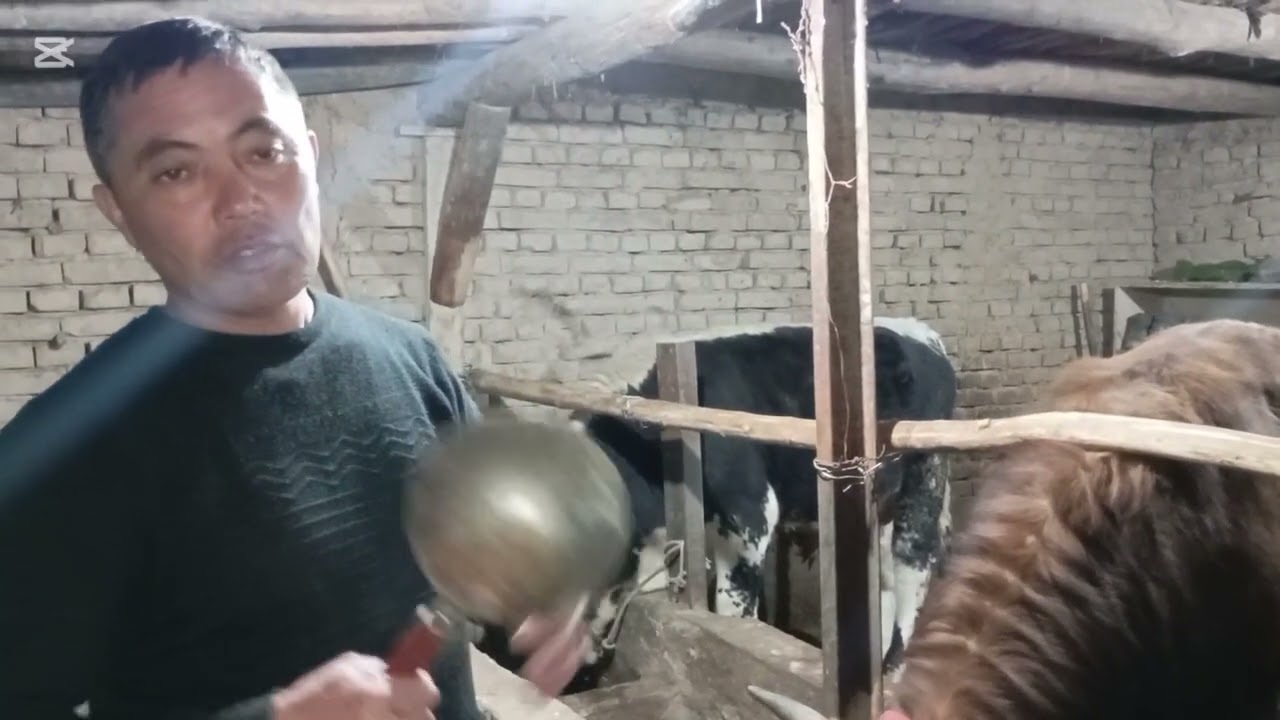 AZIYA FEED EMI ÕZ NATIJASINI OQLADI KÕRIB BAXO BERING 👍B N QÕLAB TURING