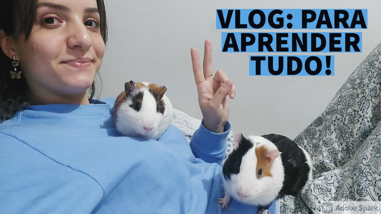 ROTINA COMPLETA | UM DIA CUIDANDO DOS MEUS PORQUINHOS! | VLOG