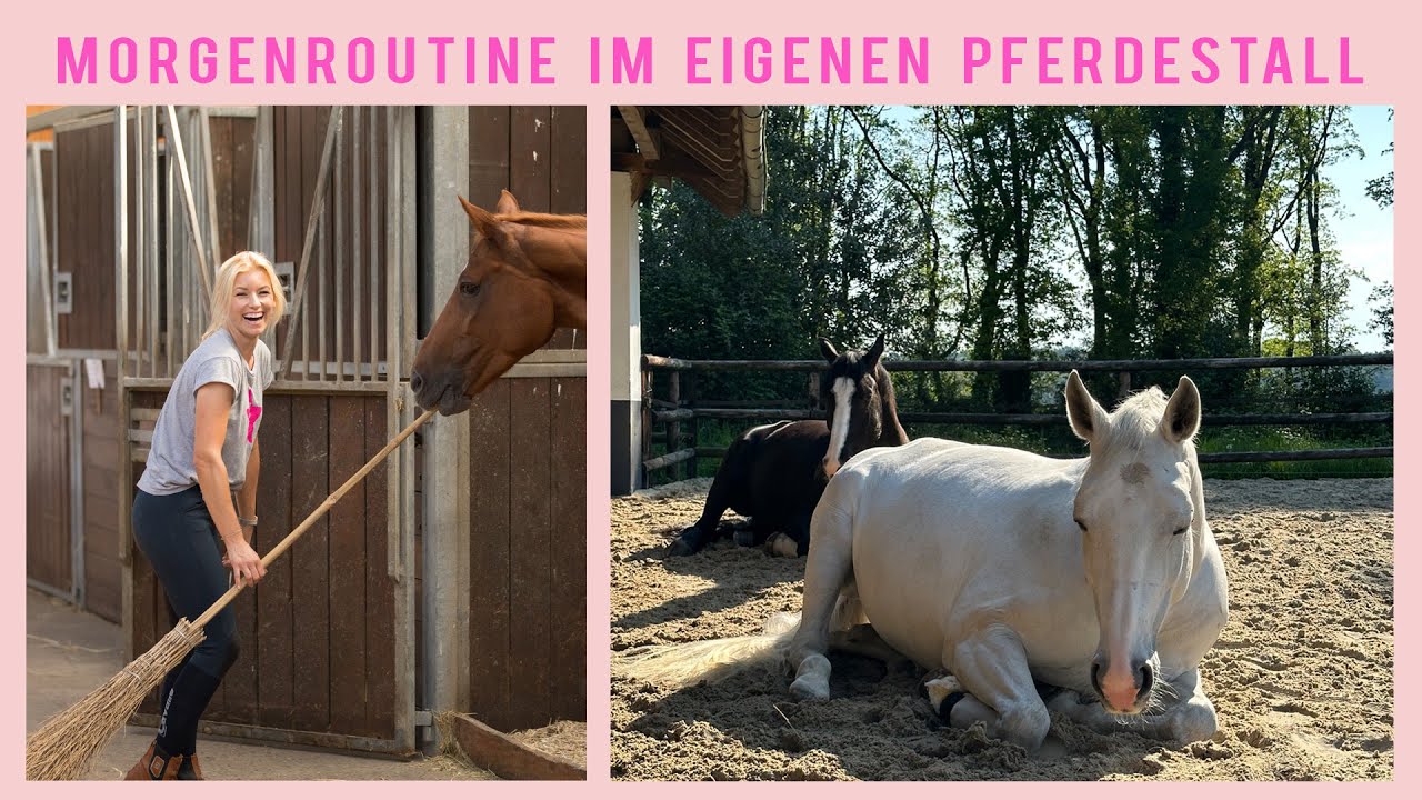 Meine MORGEN ROUTINE mit eigenem Pferde Stall I So wache ich auf I 10 Tiere versorgen I