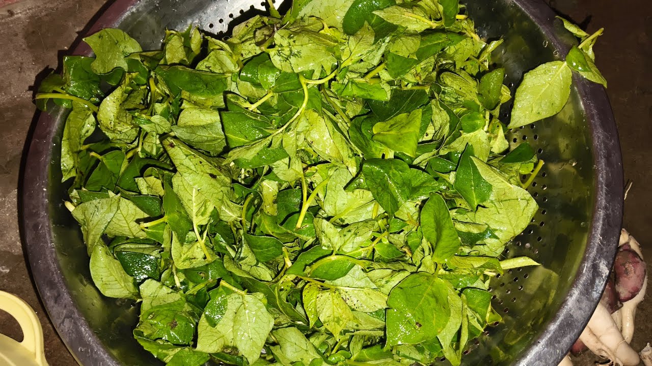 पालक बैंगन की इतनी स्वादिष्ट भजिया||पालक बैंगन को एकदम नई  रेसिपी एक बार मेरे तरीके से बनाकर देखे ||