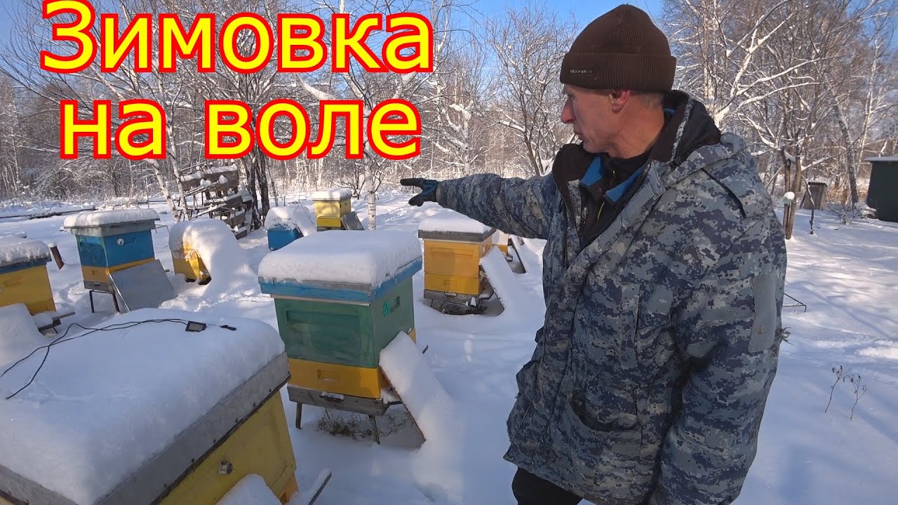 Зимовка пчёл на ВОЛЕ и в ОМШАННИКЕ. Вентиляция в ульях. ВЕРХНЯЯ и НИЖНЯЯ вентиляция!