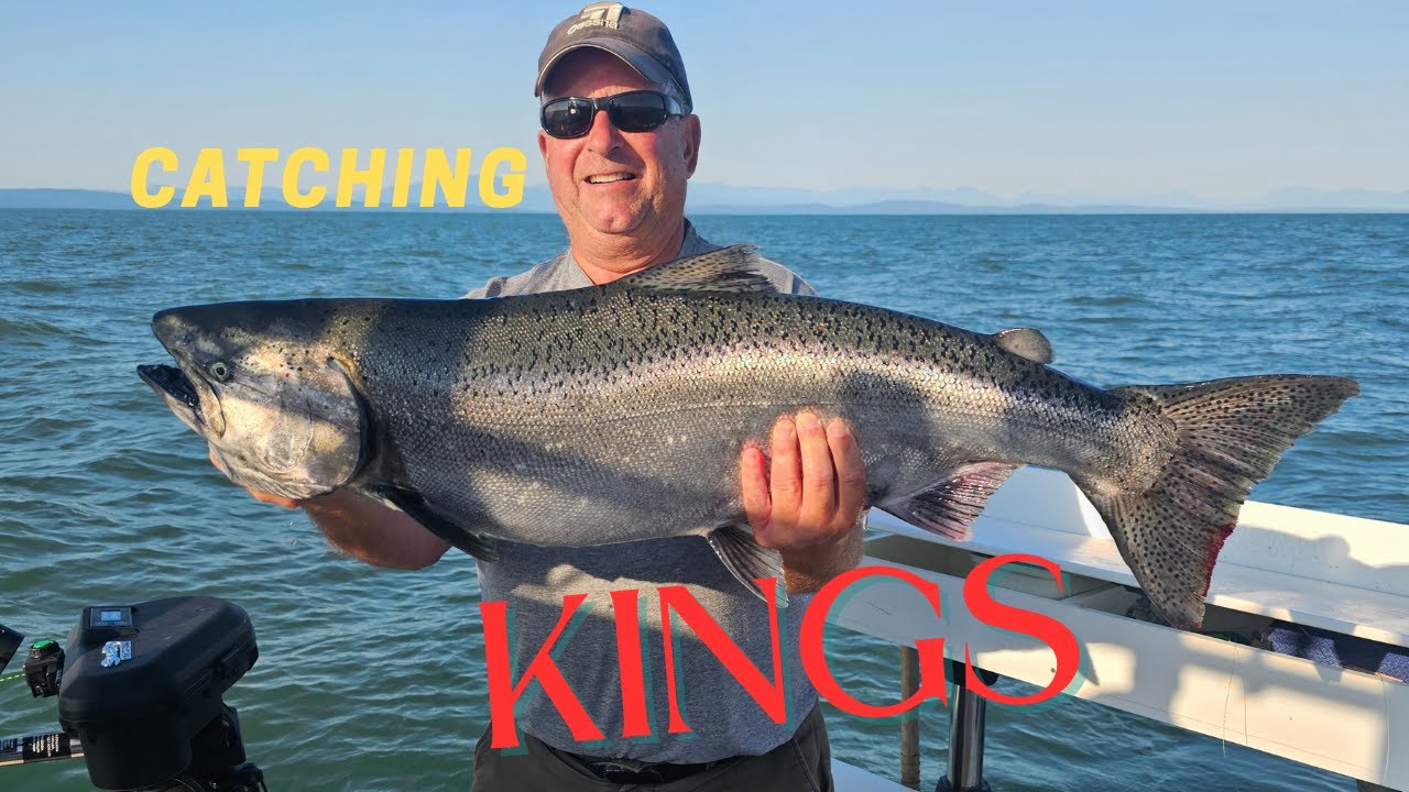 Catching Giant King Salmon in the PNW #fishing #pacificnorthwest #outdoors #salmonfishing