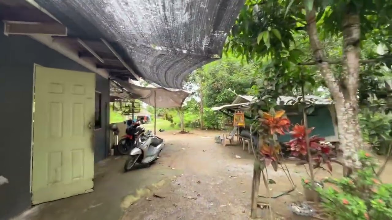 House with Land for Sale Over 2 Ngan in Khok Kloi