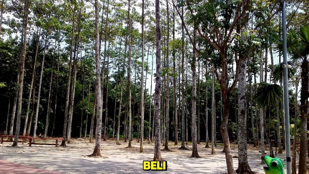 Uang Bisa Dicari, Waktu Anak Tak Bisa Kembali