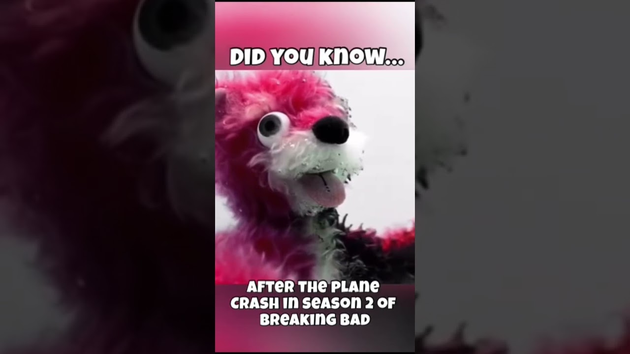 The pink teddy bear from #breakingbad was sold for HOW MUCH!? 🤯🤯 #shorts