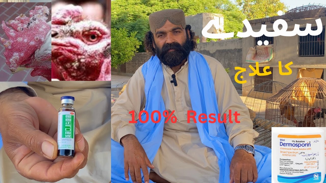 How to treat Sufaida // Sufaiday ka ilaj
