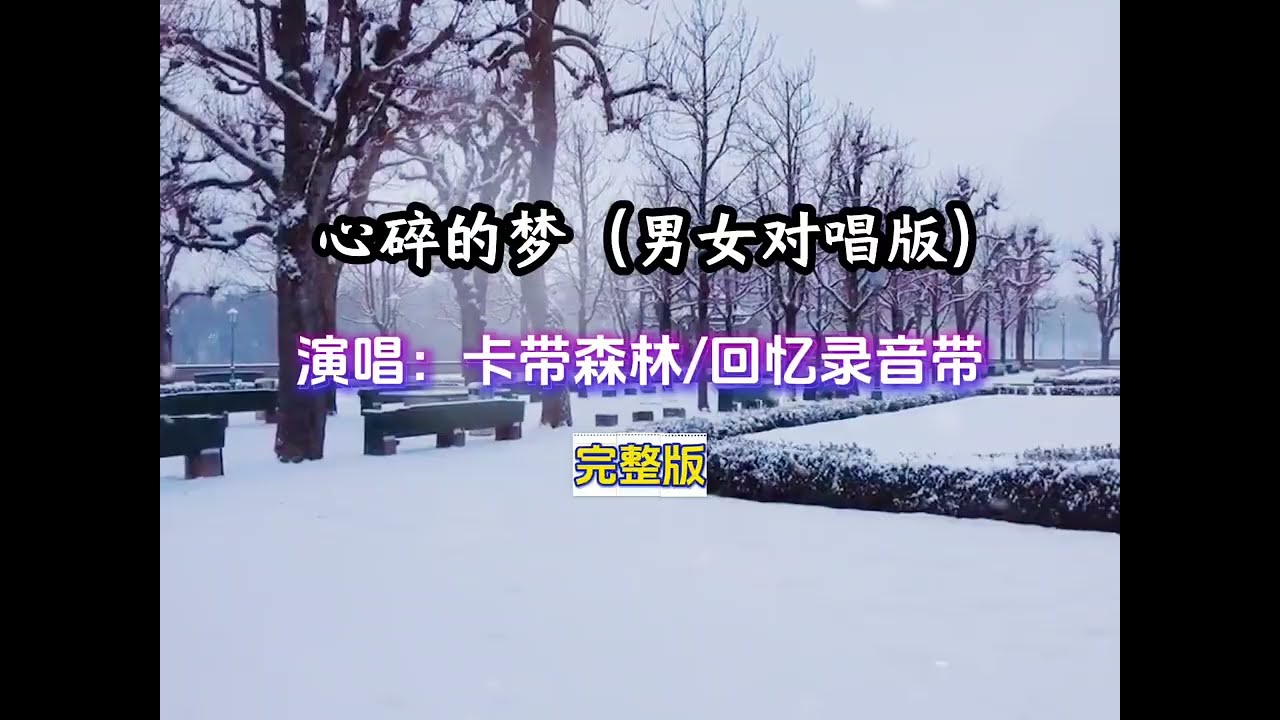 心碎的夢 男女對唱版/演唱:卡帶森林