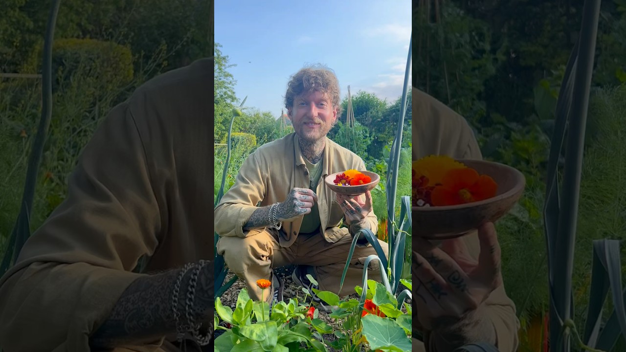 Top 6 Edible Garden Flowers 🌸😋 #gardening #flowergarden #vegetablegarden