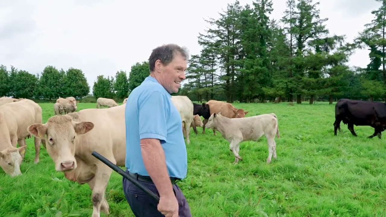 William McGrath, Co. Cork - 2023 RDS ICBF Beef Herd Index Award Winner