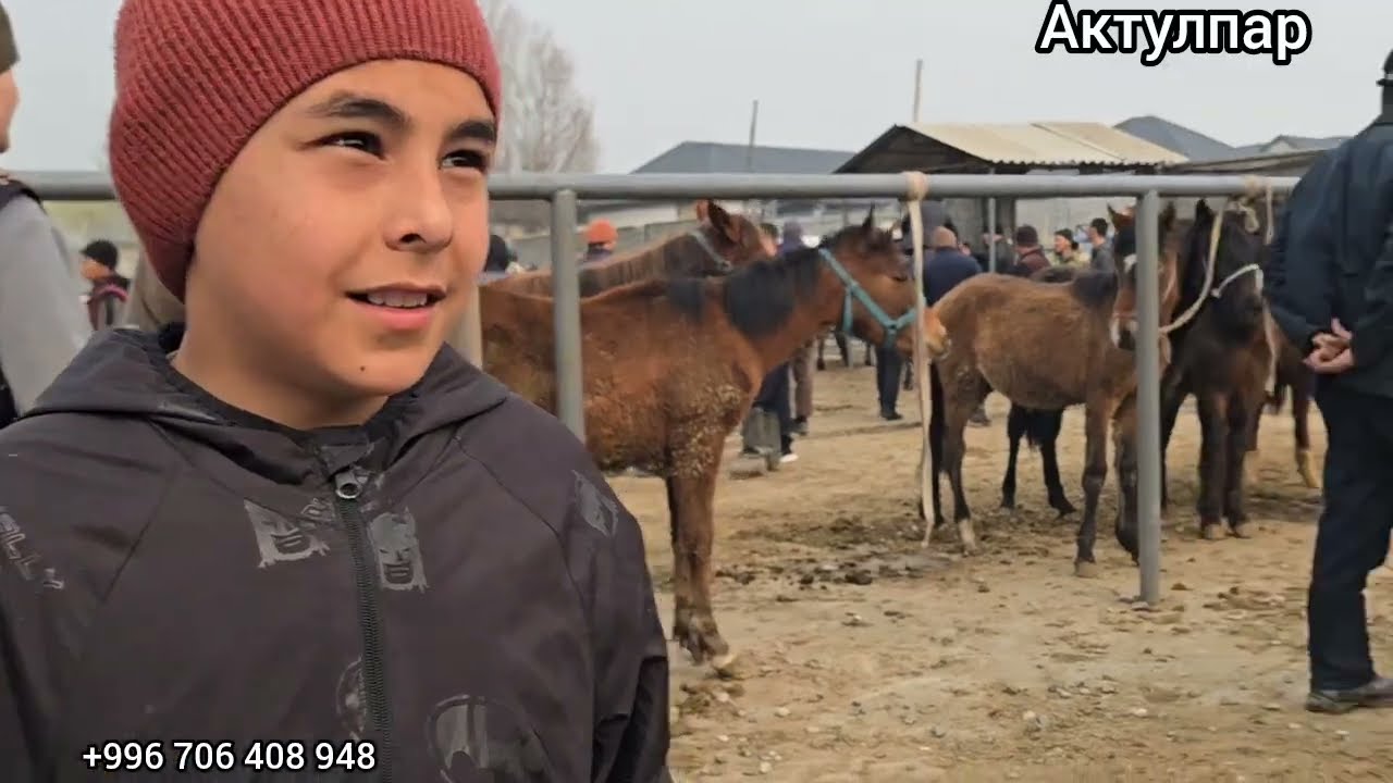 Бүгүнкү жылкы базар #актулпар #атбазар #аламанулак #кыргызкызы 