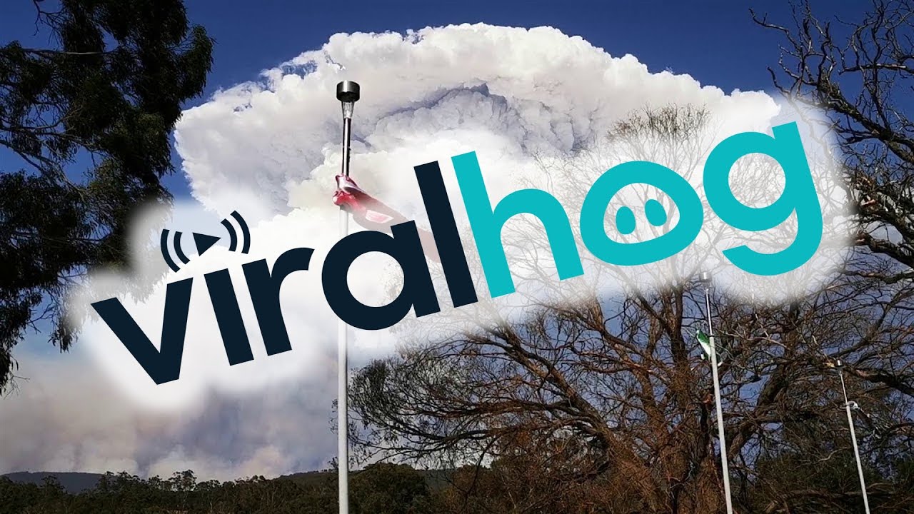 Huge Pyro Cumulus Storm Cloud Generated by Bushfire Smoke || ViralHog